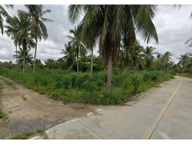 ขายที่ดินหนองขาม 21 ไร่ ติดถนน2ด้าน ใกล้สนามบินหนองค้อ-2.4กม. อ.ศรีราชา ชลบุรี