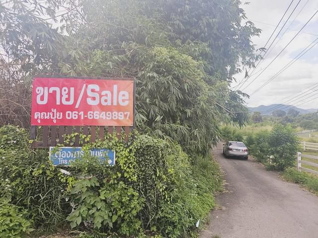 ขายที่เปล่าปากช่อง ห่างถ.มิตรภาพเพียง 600 เมตร