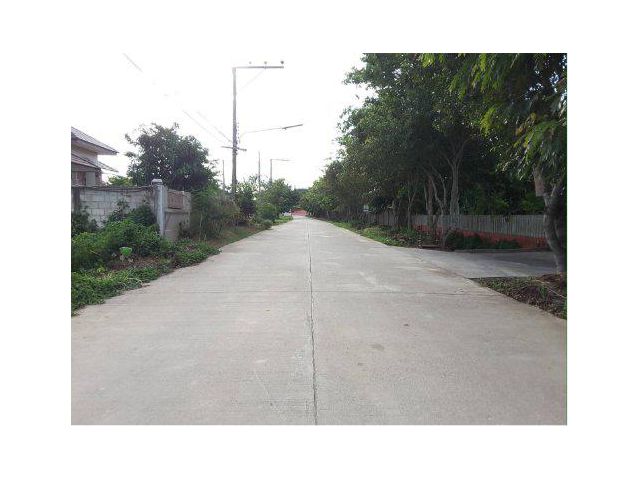 ขายที่ดิน 31 ไร่ ใกล้โฮมโปร ท่าสาย เมืองเชียงราย