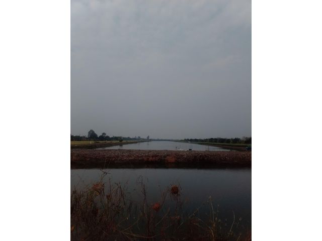 ขายที่ดิน
