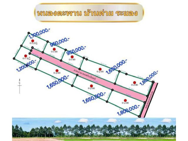 ขายที่ดินจัดล๊อก100-200ตรว อยู่ตะพาน บ้านค่าย ระยอง