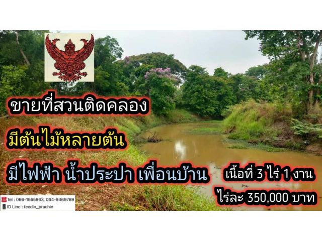 ขายที่ติดคลอง เนื้อที่ 3 ไร่เศษ ที่มีต้นไม้ น้ำ ไฟฟ้า เขตหมู่บ้าน