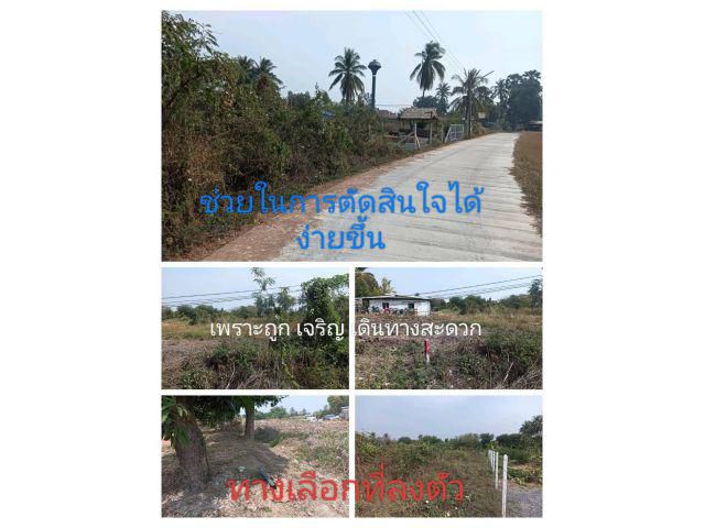 ความสวยทีน่าสน สำหรับคนที่มองหาที่แปลงเล็ก ในชุมชนตำบลหวายเหนียว ใกล้ที่ทำงาน ใกล้ท่ามะกาส่วนราคาเอาอยู่ ถูกจังถูกใจ