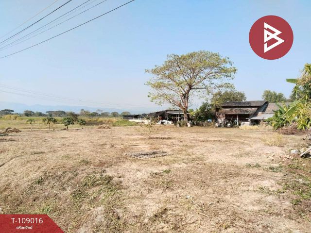 ขายที่ดินทำเลดี เนื้อที่ 2 งาน 80.6 ตร.วา พาน เชียงราย