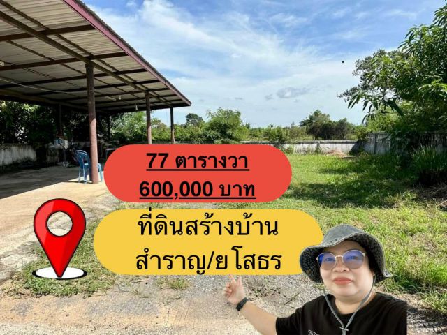 ขายที่ดินเปล่าสร้างบ้าน สำราญ/ยโสธร