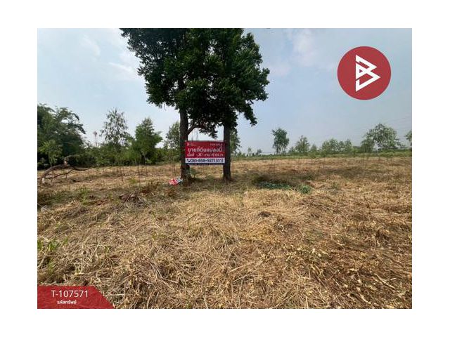 ขายที่ดิน เนื้อที่ 15 ไร่ 1 งาน 99 ตร.วา บ้านบึง ชลบุรี