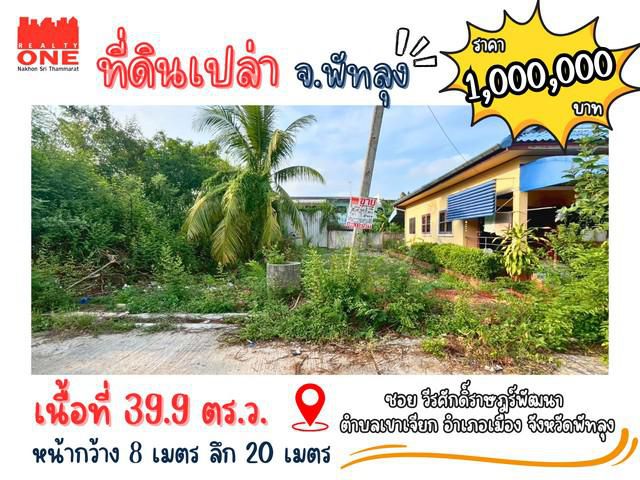 ที่ดินเปล่า ซอย วีรศักดิ์ราษฎร์พัฒนา ต.เขาเจียก อ.เมือง จ.พัทลุง