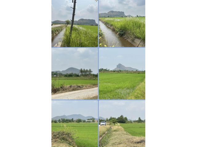 ที่นา วิวเขาสวยๆ