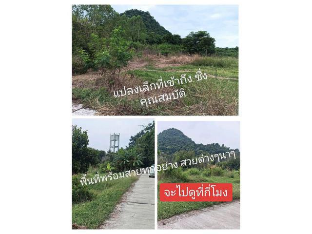 เมื่อพบเห็นราคาที่ยอมรับที่คุ้มกับพื้นที่ดีได้ทำเล ดีแล้วดีอีกฉีกทุกความต้องการแปลงเล็กๆที่เข้าใจความต้องการอย่างแท้จริง