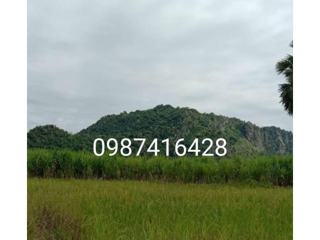 ขายที่ดิน วิวภูเขาสวยมากๆ เนื้อที่ 7 ไร่ 1งาน ถนนคอนกรีตผ่านเข้าออกได้สะดวก