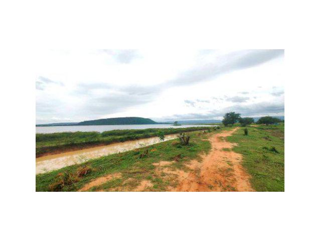 ขายที่ดิน 4 ไร่ ต.ตะขบ อ.ปักธงชัย จ.นครราชสีมา