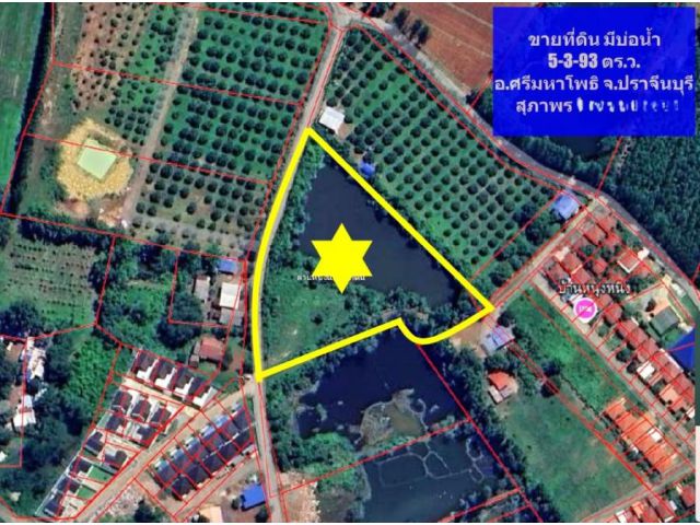 ขาย ที่ดิน 5 ไร่ 3 งาน 93 ตร.ว. มีบ่อน้ำ ศรีมหาโพธิ ถนนสาย 304 ปราจีนบุรี MAY