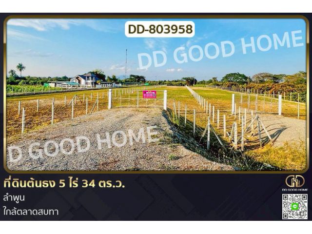 DD-803958 ที่ดินต้นธง 5 ไร่ 34 ตร.ว. ลำพูน ใกล้ตลาดสบทา
