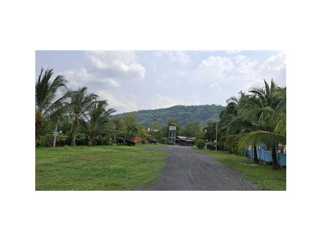 resort ราคาถูก ริมทางข้น เขาใหญ่  ราคาถูก
