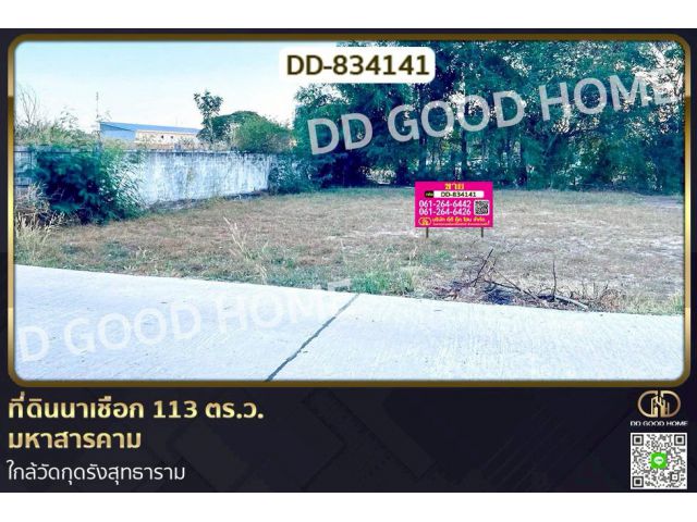 DD-834141 ที่ดินนาเชือก 113 ตร.ว. มหาสารคาม ใกล้วัดกุดรังสุทธาราม