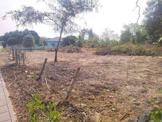 ขายที่ดินห้วยใหญ่ บางละมุง ชลบุรี