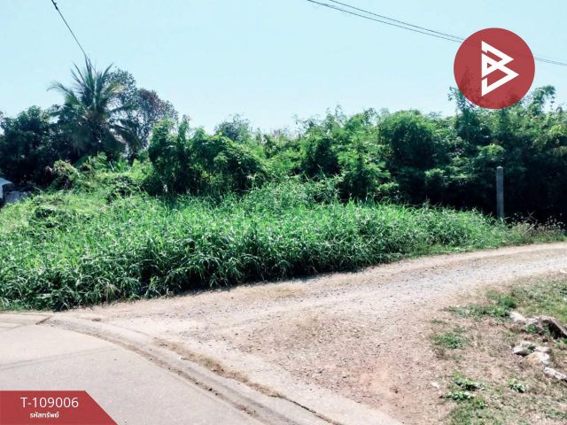 ขายที่ดิน เนื้อที่ 3 งาน 91 ตร.วา บ้านคลอง พิษณุโลก
