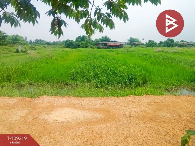 ขายที่ดิน เนื้อที่ 4 ไร่ 2 งาน นครชัยศรี นครปฐม