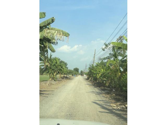 ขายที่ดิน 2 ไร่ หนองเสือ คลอง 11 ซอยโรงดินนาทวีคูณ