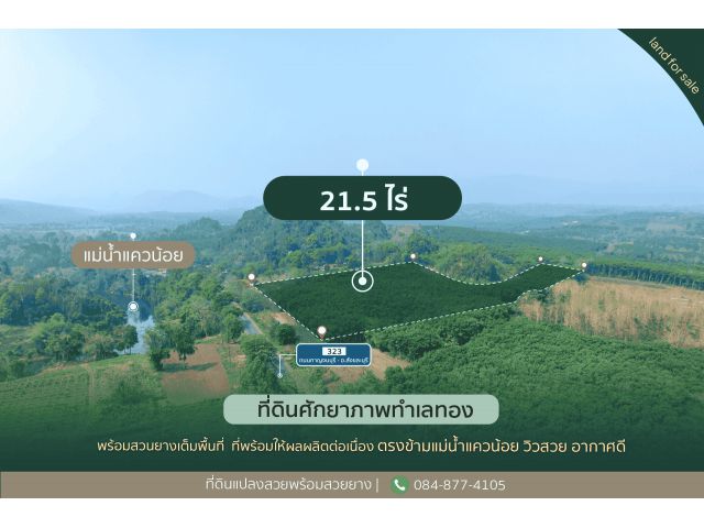 ขายที่ดินติดถนนใหญ่หมายเลข 323 พร้อมสวนยาง 21.5 ไร่ อำเภอทองผาภูมิ จังหวัดกาญจนบุรี