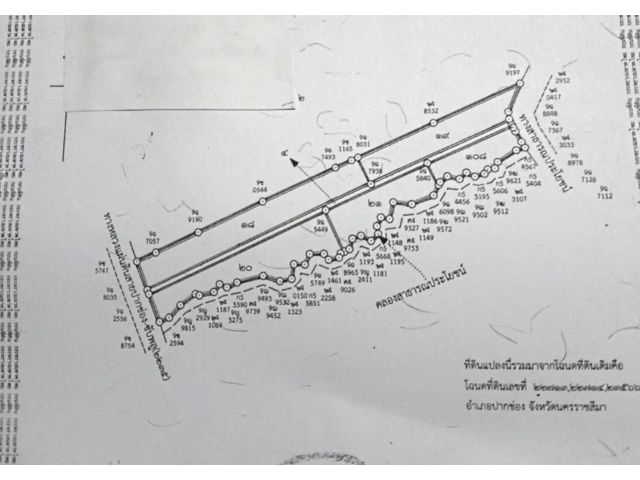 ขายที่ดิน 84 -3-36 ไร่