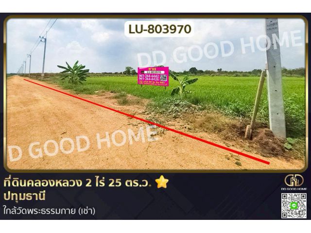 ที่ดินคลองหลวง 2 ไร่ 25 ตร.ว. ปทุมธานี ใกล้วัดพระธรรมกาย (เช่า)