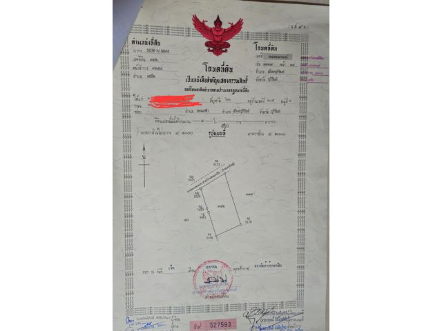 ขายที่ดิน 4 ไร่ถมแล้ว ล้อมรั้วแล้วพื้นที่พร้อมปลูกบ้านได้เลย