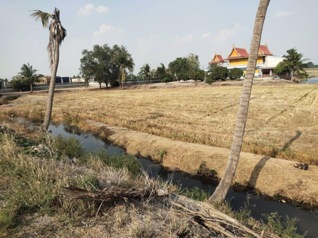 ที่ดินลาดบัวหลวงอยุธยา