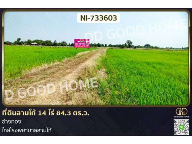 NI-733603 ที่ดินสามโก้ 14 ไร่ 84.3 ตร.ว. อ่างทอง ใกล้โรงพยาบาลสามโก้