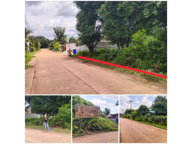 ต้องการขายที่ดินทำเลทอง เหมาะทำธุรกิจบ้านจัดสรร บ้านเช่า หอพัก ใกล้มหาลัยราชภัฏ