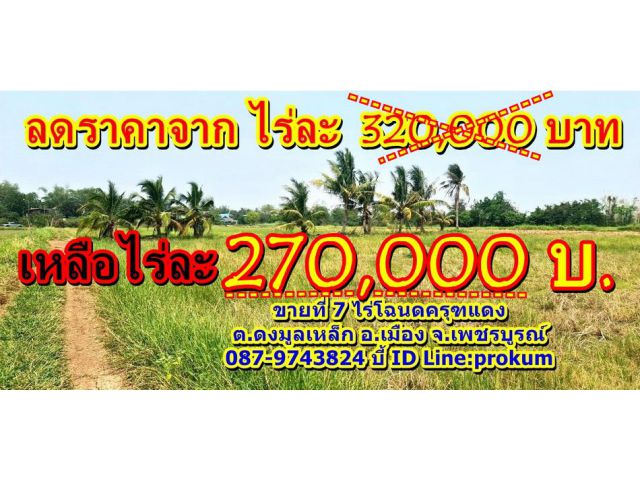 Vายที่ดินเพชรบูรณ์ 7 ไร่ ติดคลองน้ำ มีบ่อน้ำ 1 ลูก ขายไร่ละ 270,000 บาท ต่อรองได้ครับ ***ที่ดินอยู่ในชุมชน บ้านดงมูลเหล็
