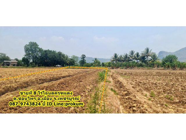 ขายที่ 8 ไร่โฉนดครุฑแดงติดคลองน้ำ ขาย 1 ล้านบาท