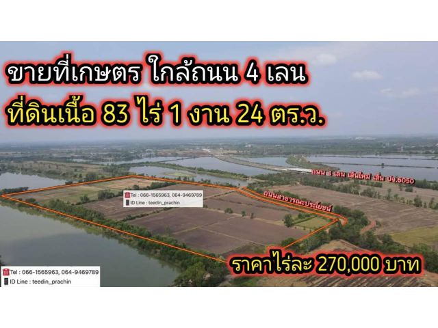 ขายที่เกษตรแปลงใหญ่ ที่ 83 ไร่เศษ ที่ดินเขตเมืองปราจีน ใกล้ถนน 4 เลนใหม่