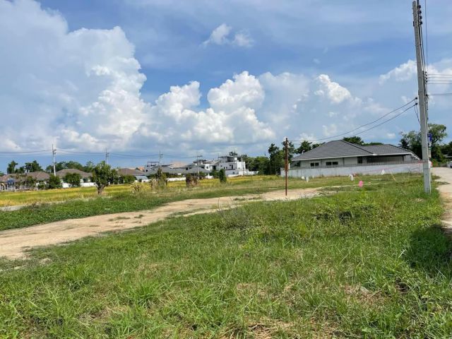 ขายที่ดินตำบลสันผักหวานใกล้เมืองโฉนดพร้อมโอน