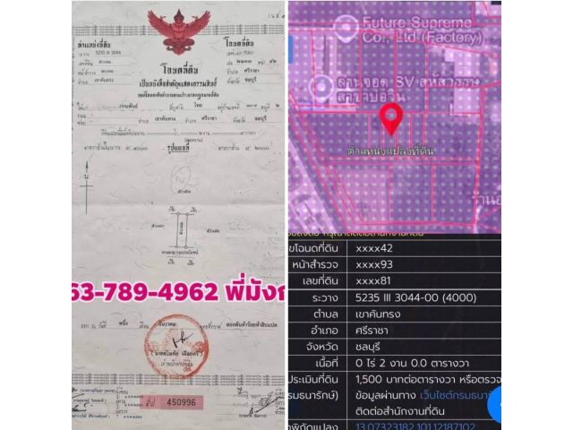 #เสนอขายที่ดินเขาคันทรงศรีราชาชลบุรี #ที่ดินสีม่วงลาย ที่ดิน 200ตรว เขาคันทรง อ.ศรีราชา จ.ชลบุรี ขาย2.1ล้าน