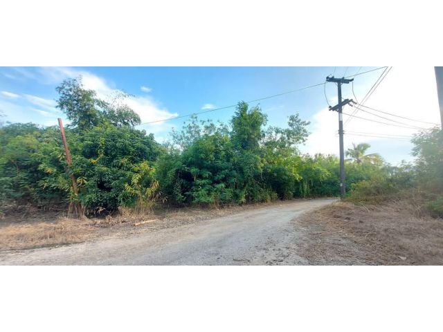 ขายที่ดินตำบลสารภีใกล้โรงพยาบาลสารภีโฉนดพร้อมโอน