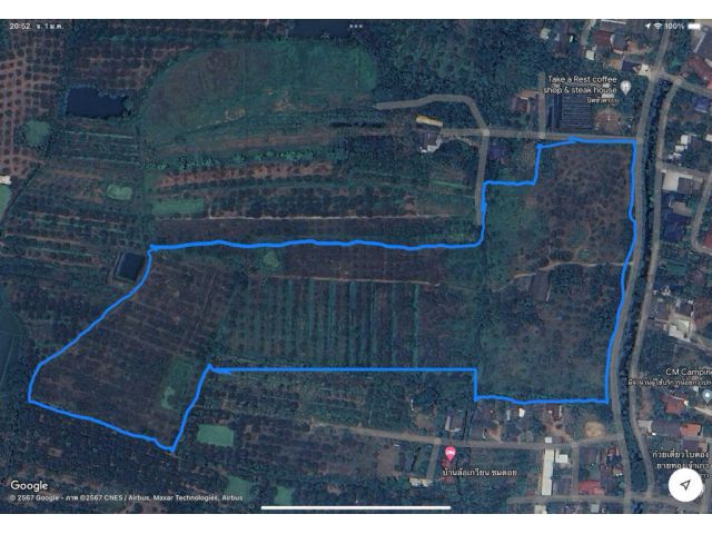 ขายที่สวนลำใยตำบลชมภูหน้ากว้าง 230 เมตรพร้อมโอน