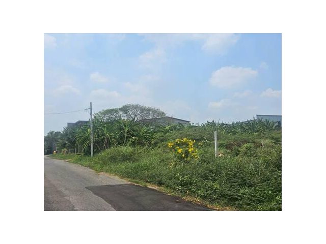 ขายที่ดิน 195 ตร.ว. ซ.เคหะร่มเกล้า 72 แยก 4 ใกล้โรงเรียนนานาชาติร่วมฤดี