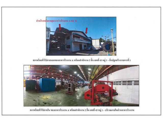 ขายที่ดินพร้อมสิ่งปลูกสร้าง และสิ่งพัฒนาควบบนที่ดิน 9-1-8 ไร่