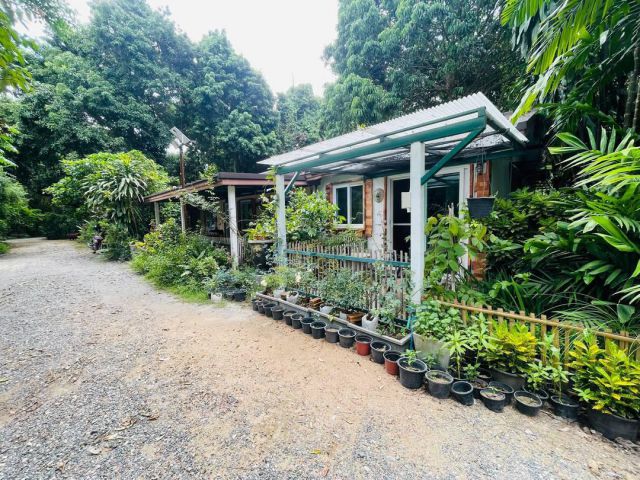 บ้านสวนติดแม่น้ำปิง ท่ามกลางธรรมขาติ สายน้ำ ต้นไม้ เสียงนก และแมลง พร้อมด้วยต้นไม้ ดอกไม้ นานาพันธุ์ ความสงบ ร่มรื่น