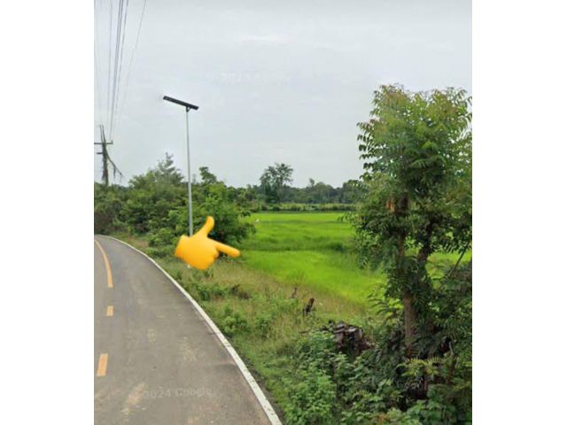 ที่นาในเมือง แปลงสวย อนาคตดี ต.บ้านบัว อ.เมืองบุรีรัมย์