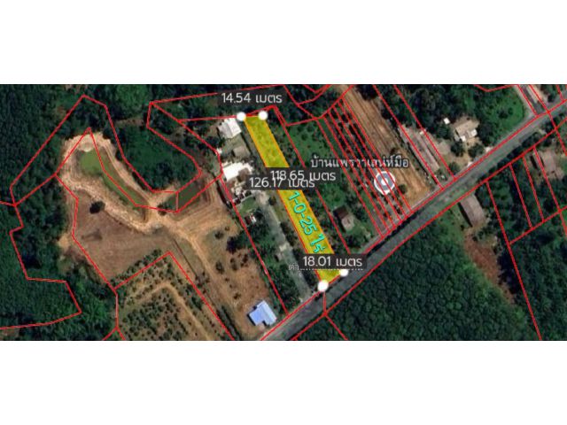 LandForSale!!! ขายสวนทุเรียนหมอนทอง ทำเลดีห่างจากถนนเพชรเกษม2กิโลเมตร เหมาะสร้างบ้านสวน!!