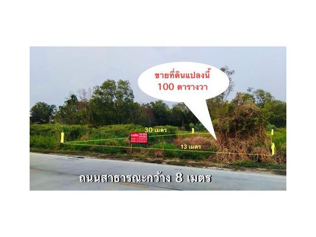 ขายที่ดิน 100 และ 209 ตรว.รังสิตคลอง 2 ธัญบุรี ปทุมธานี ที่สวยทำเลดี