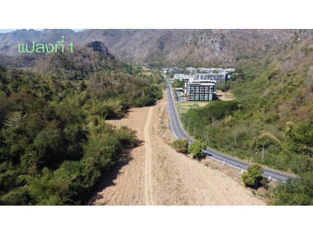 ขายที่ดิน ใกล้เขาใหญ่ ติดเขตอุทยาน ต.พญาเย็น อ.ปากช่อง จ.นครราชสีมา