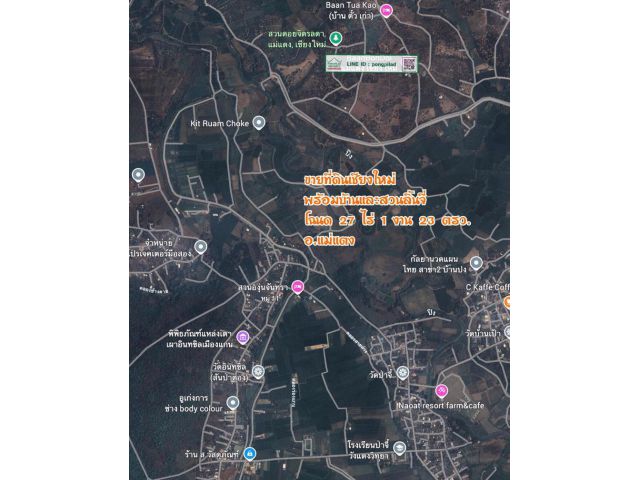 ขายที่ดินเชียงใหม่ แม่แตง พร้อมบ้านและสวนลิ้นจี่ โฉนด 27 ไร่ 1 งาน 23 ตรว.