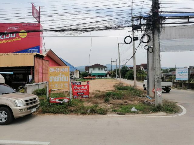 ด่วนขายที่ดินเปล่า193​ตรวา​ ติดถนน​4​้ลนส์  ชม-พร้าว