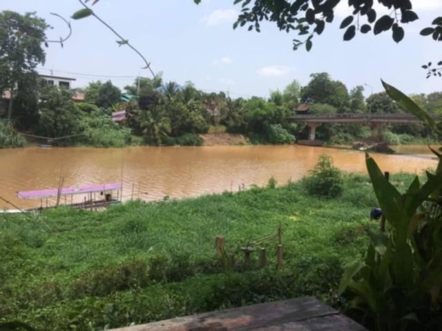 ขายที่ดินติดน้ำปิงตำบลป่าตันทำเลดีโฉนดพร้อมโอน