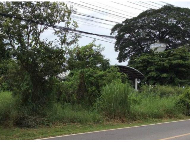 ขายที่ดินติดถนนตำบลท่าศาลาทำเลดีถนนกว้างพร้อมโอน