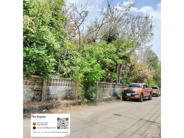 Land for Sell!! ขายด่วน ที่ดินเปล่าทำเลดี  สนใจโทร 090 986 21544