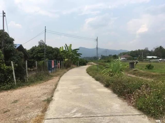 ขายที่นาบ้านกาดแม่วางห่่างถนนหลักเพียง 300 เมตรพร้อมโอน
